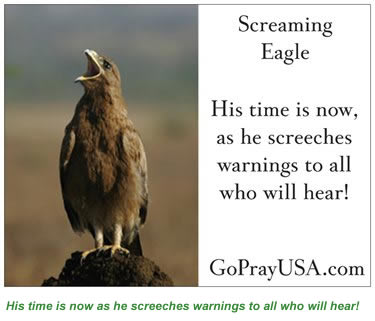 Screaming Eagle ~ His time is now as he screeches warnings to all who will hear!